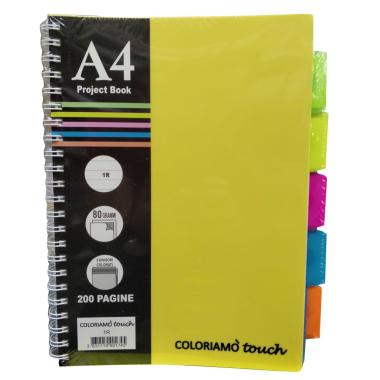 Maxi spiralato ppl coloriamo 100fg c/divisori 1r