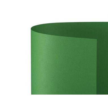 Bristol prisma 35x50 220gr cf20 verde