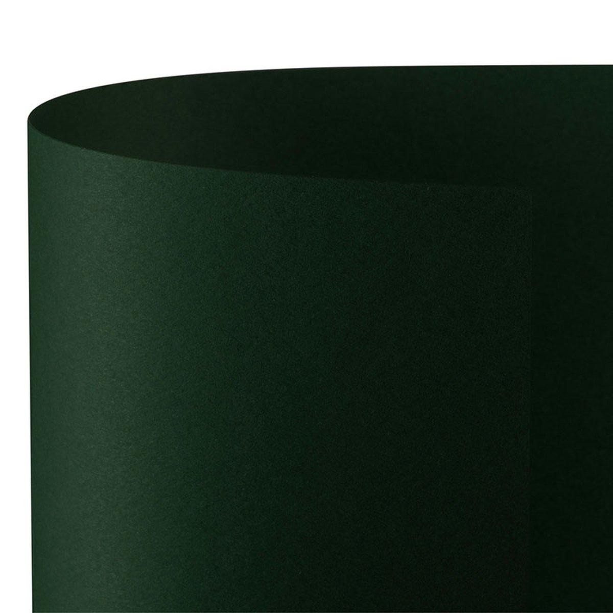 Bristol 50x70 prisma 220gr pino 20 fg20