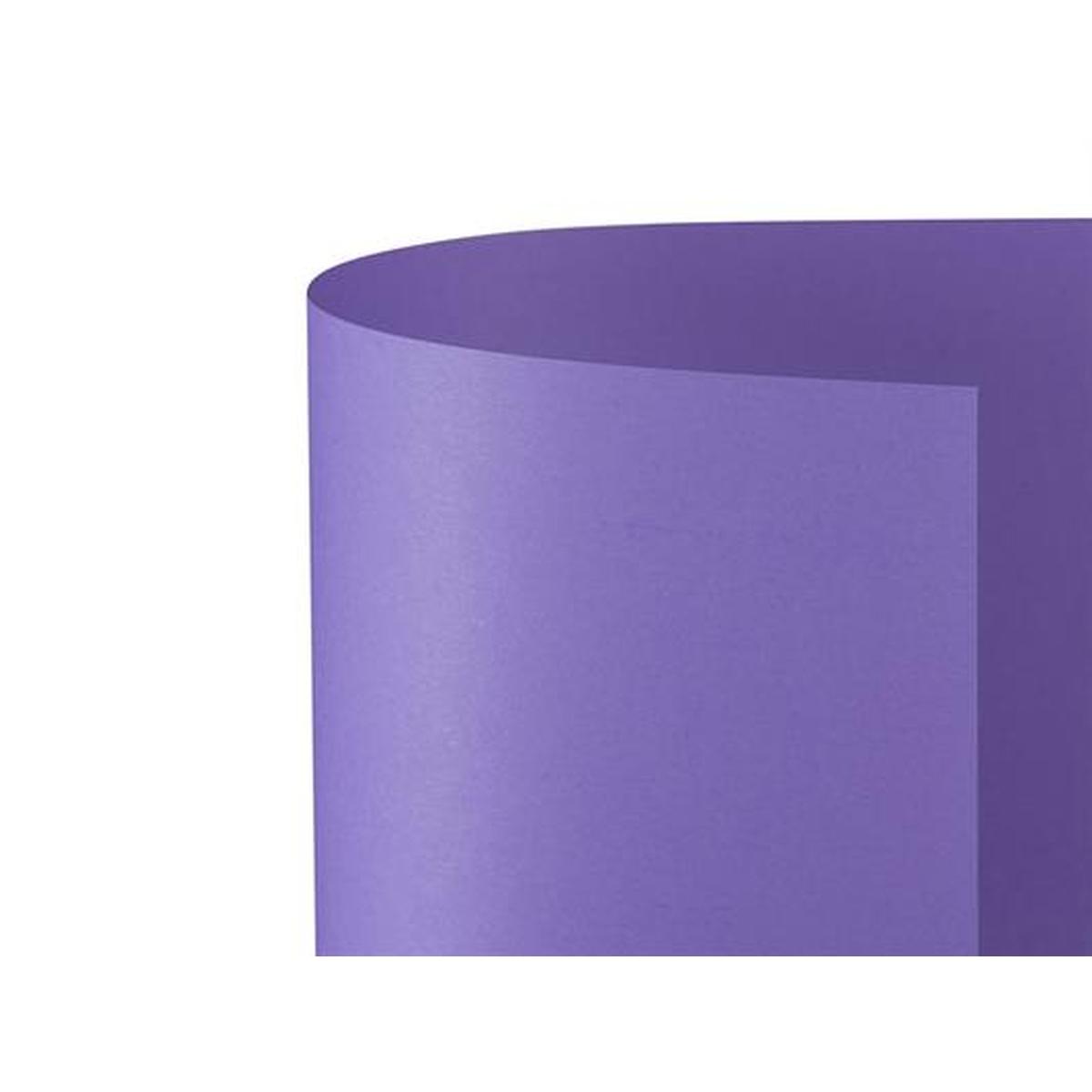 Bristol 50x70 prisma 220gr viola 49 f20