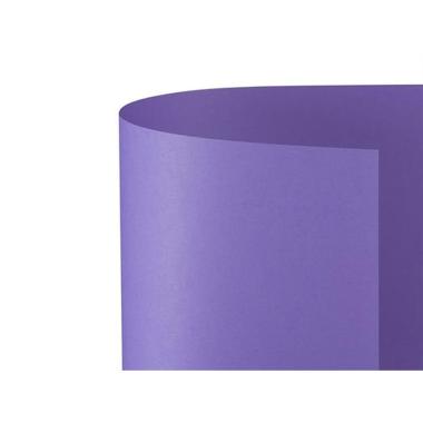Bristol 50x70 prisma 220gr viola 49 f20