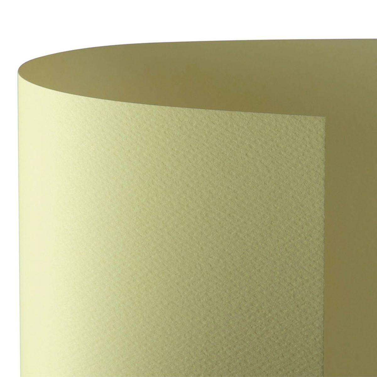 Bristol 50x70 prisma 220gr camoscio 12 fg20