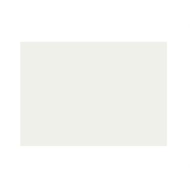 Bristol colorline 70x100 gr.220 fg.25 bianco
