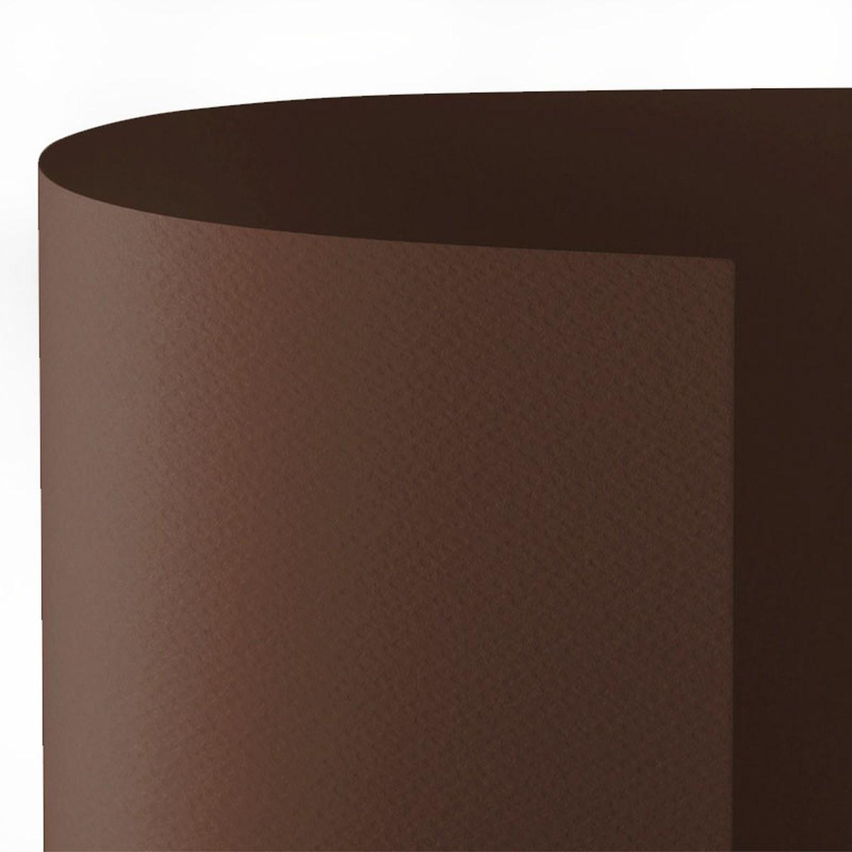 Bristol 50x70 prisma 220gr marrone 08 fg20