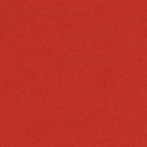 Bristol colorline 50x70 gr.220 fg.25 rosso vivo