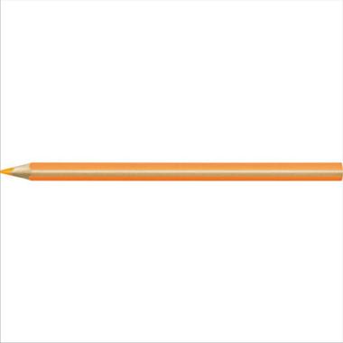 Evidenz. textsurfer dry matita cf.12 pz.arancio