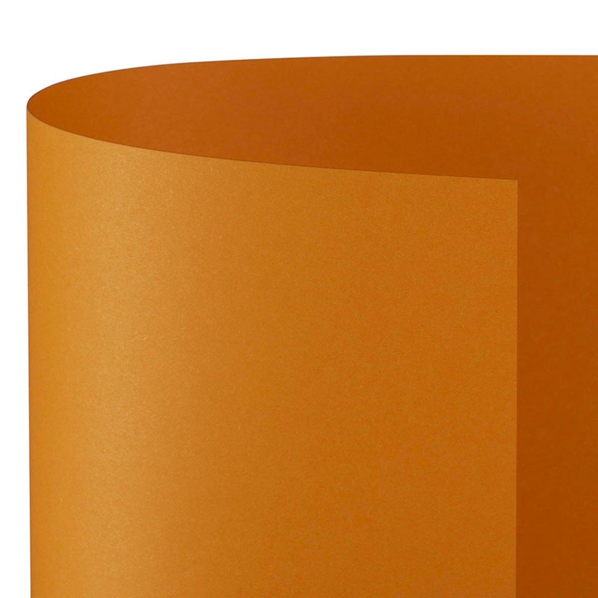Bristol 70x100 prisma 220gr arancio fg10