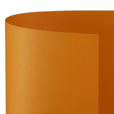 Bristol 70x100 prisma 220gr arancio fg10