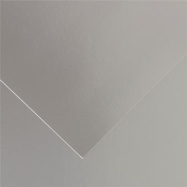 Cartoncino vivaldi 50x65 280gr argento cf25