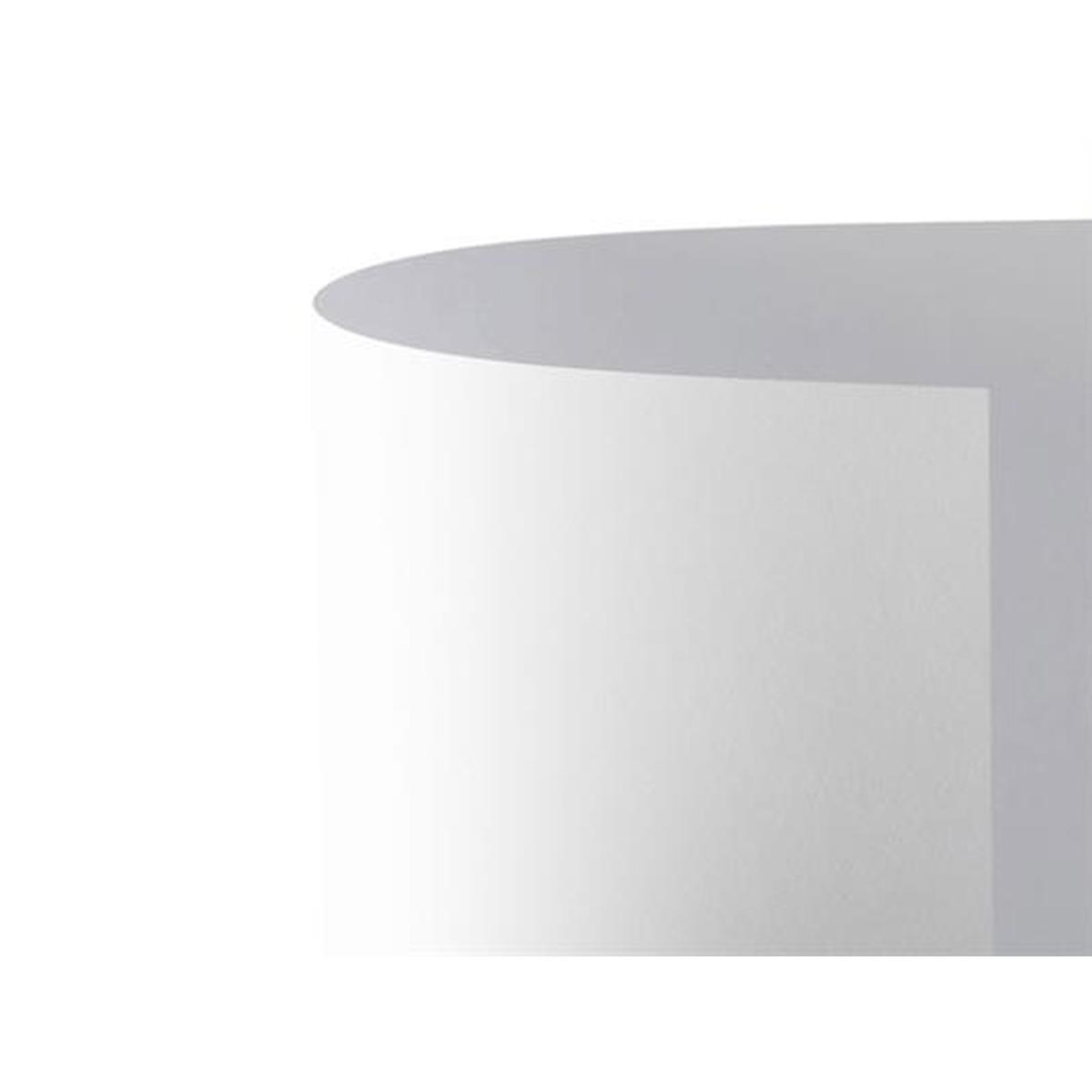 Bristol bianco monoruvido 35x50 fg.100