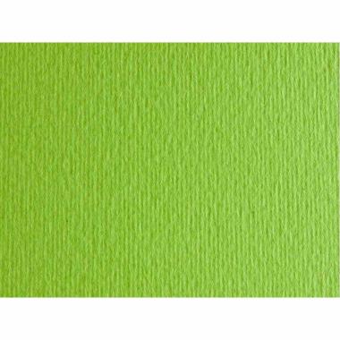 Bristol l/r gr.220 50x70 fg.20 verde pisello