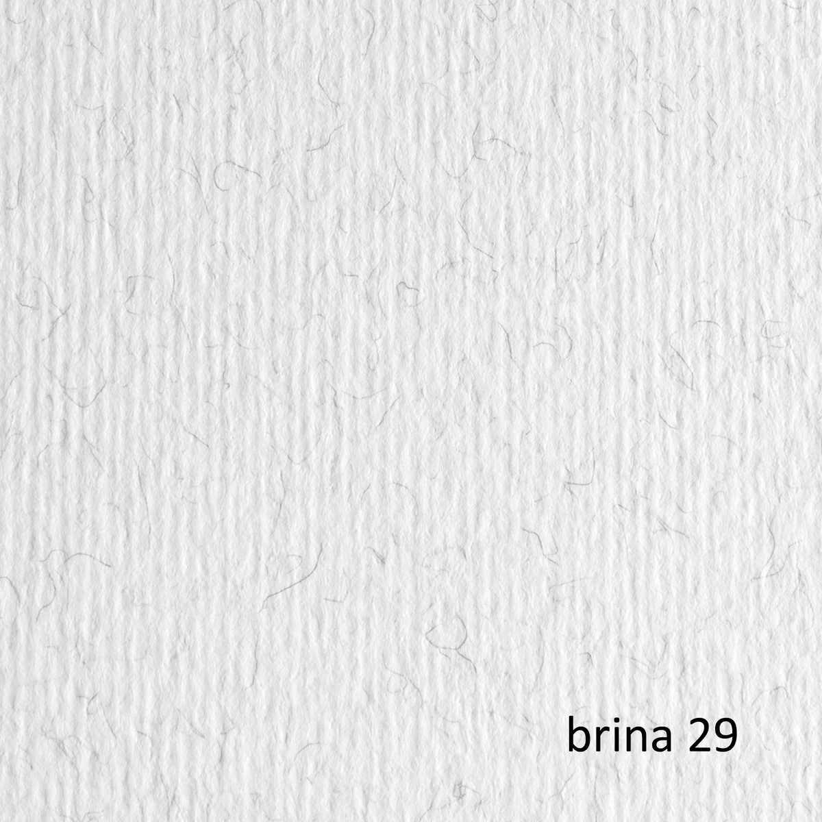 Bristol l/r gr.220 50x70 fg.20 brina