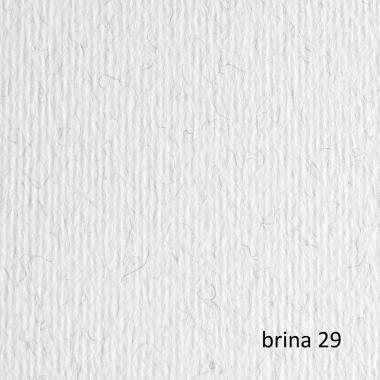 Bristol l/r gr.220 50x70 fg.20 brina